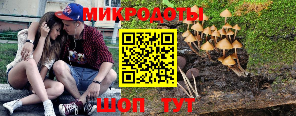 Галлюциногенные грибы GOLDEN TEACHER  Вход с VPN  Горячий Ключ 